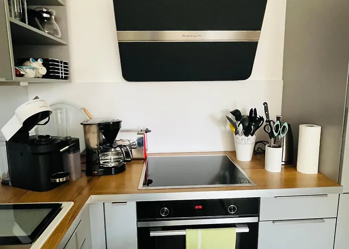 Saur Immenstaad am Bodensee